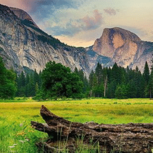 8k Image transformation with designing